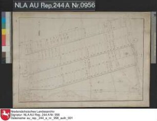 Lage der Ortschaft BLOMBERG und der zur königlichen Kolonie bei Kloster Schoo gehörenden Ländereien mit Einzeichnung einer Schäferei Kolorierte Zeichnung von J. N. Franzius Papier Format 49,0x32,4 M 1:5.000 (ca)