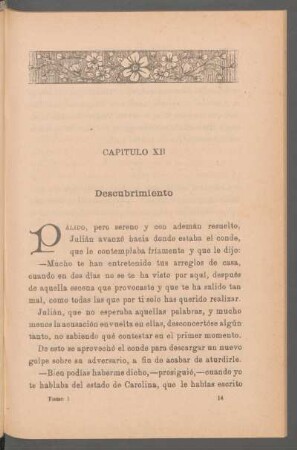 Capítulo XII - Descubrimiento