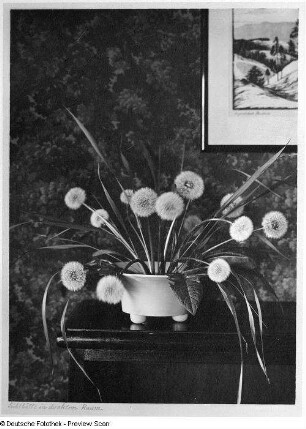 Blumentopf auf Kugelfüßen : Blumenstilleben mit Pusteblumen