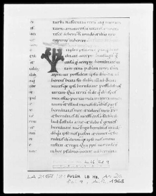 Augustinus, Enarrationes in Psalmos 1-50 — Initiale T, Folio 9 recto