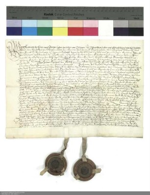 Revers Albrechts und Philipp Kaspars von Thüngen zu Wolfsmünster und Windheim bezüglich der Belehnung mit einem Burggut in Bad Brückenau und weiteren im Einzelnen aufgeführten Lehen durch Johann Friedrich [von Schwalbach], Abt von Fulda
