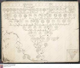 Stammtafel des Henrik von Wersebe