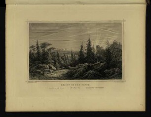 Region of the Pines.