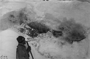 Eis mit Einschlüssen (Gauß-Expedition 1901-1903)