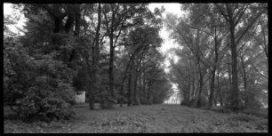 Weinaupark, Zittau