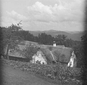 Vierkanthof : Österreichischer Gutshof bei Grein.