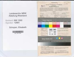 Entnazifizierung Elisabeth Schopen, geb. 21.05.1909 (Bankangest.)