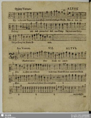 VII. Trachtet am ersten