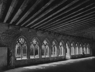 Archivfotografie "neckar_bad-wimpfen_3322"