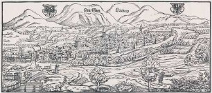 [Blatt-Nr.: 40] Landau/Pfalz [Landaw]