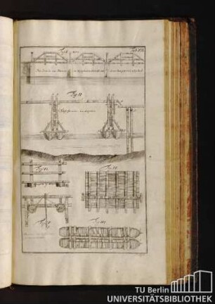 Tab. XII.