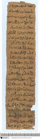 Demotischer Papyrus, Hochformat-Brief an den Vorsteher der heiligen Rinder Hartophnachtes, Bitte um Orakelspruch, welche von zwei Frauen er heiraten solle