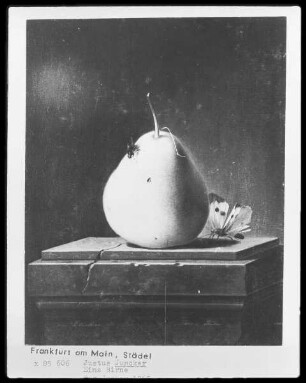Stillleben mit Obst und Insekten — Eine Birne