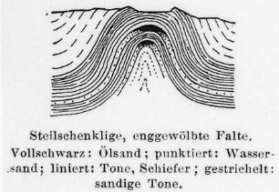 Steilschenklige, enggewölbte Falte, Schema (Blumer) : Geologie | Geologie des Erdöls