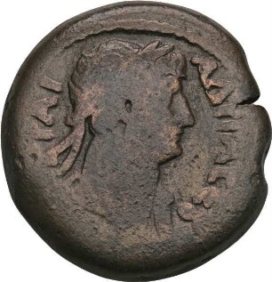 Hadrian (117-138 n. Chr.): Alexandria / Ägypten, 117-138 n. Chr. – Drachme
