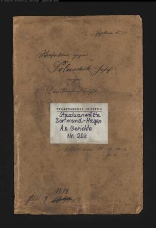 Angeklagter: Poluschik, Josef: Landfriedensbruch (Plünderungen in Dortmund am 02.07.1919)