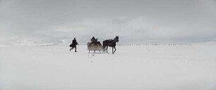 Auf trockenen Gräsern