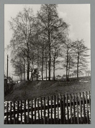 Gartenanlage mit Waldstück