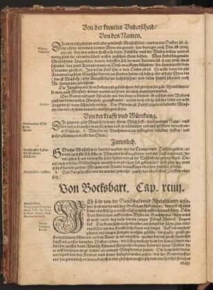 Von Bocksbart, Cap. XCIIII