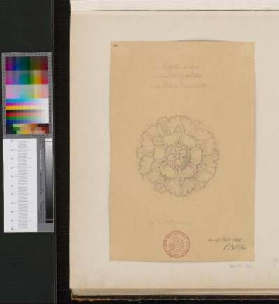 Rosette aus dem Gewölbe des Arkadenumgangs
