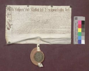 Das Kloster St. Gallen und Mathis Gutgsell zu Ebringen tauschen Güter miteinander.
