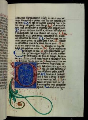 Zierinitiale (Psalm 39): D(ixi custodiam)