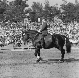 Moritzburger Hengstparade. Reiter in Uniform beim Vorführen verschiedener Gangarten