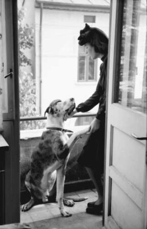 Bukarest: Haus des + Schriftleiters Wilhelm Müller, Frau Müller mit dänischer Dogge auf Balkon