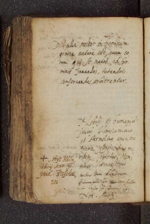 Conradus Memmius Utrajectinus. – Incipit: Nulla melior in hominum genere natura est. – bei Braunschweig, 07.03.1588