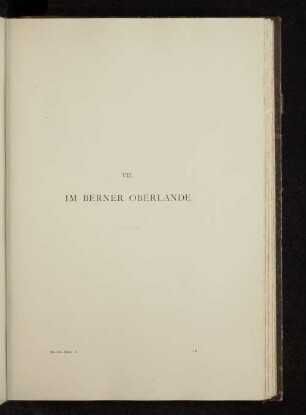 VIII. Im Berner Oberlande.