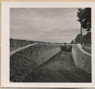 Balow, Gutsverwaltung