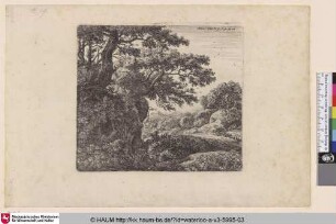 [Landschaft mit einem Schlafenden am Wegesrand; A man sleeping beside a road]