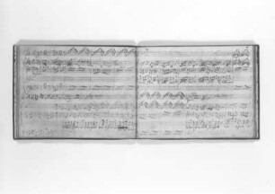 Serenata fatta sull' Elba, 1719 : Heinichen, Johann David: Serenata fatta sull' Elba [Diana sull'Elba]. Arie der Dafne, S. 40/41. Autographe Partitur; 21,2 x 27,5 cm. Uraufführung zum Dianafest des Planeten Luna auf der Elbe am 17.09.1719 anläßlich der Hochzeitsfeierlichkeiten des Kurprinzen Friedrich August mit Maria Josepha von Österreich. Dresden: SLUB Mus.2398.L.2