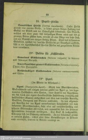 19. Voliere für Eichhörnchen - Aguti