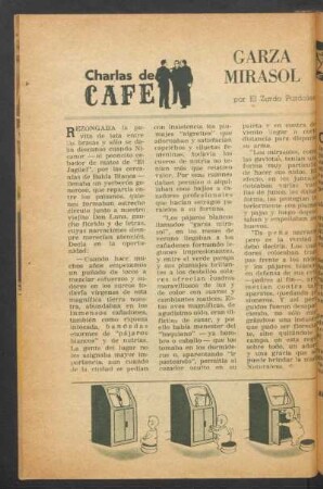 Garza mirasol : Charlas de café