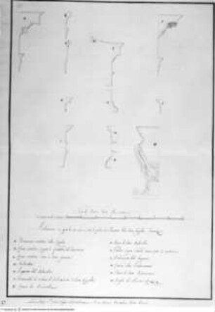 Entwürfe zur Cappella Strozzi in Sant'Andrea della Valle, Details der Ordnungen