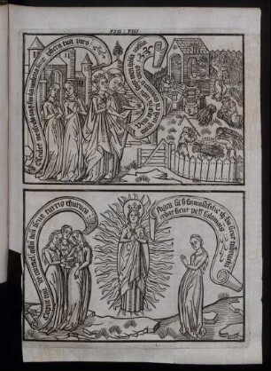 Fig. VIII.