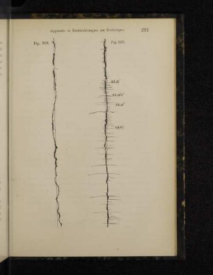 Fig. 110