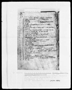 Hs. 653 & Braune Ottobeurer Codex & Necrologium Computus & fol 7v
