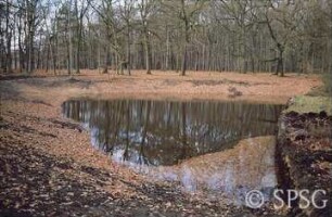 Potsdam, Park Sacrow, Durch die ABM zum Teil ausgekofferte Thusnelda-Senke.
