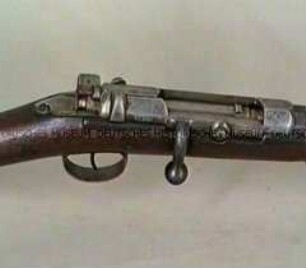 Karabiner M/71, System Mauser, Deutsches Reich
