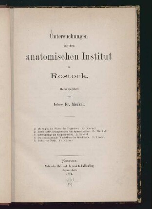 Untersuchungen aus dem anatomischen Institut zu Rostock