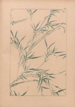 EA [Motif de décor. - Bambous]