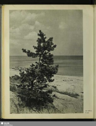Am Selliner Strand