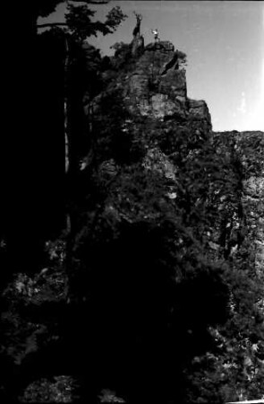 Höllental: Felsen mit Hirsch