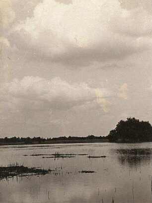 Oberlausitz. Klösterlich Neudorfer Teich bei Wittichenau