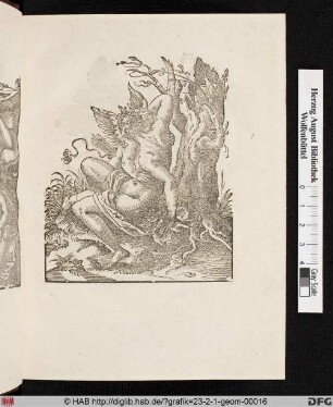 Venus und Amor, ringend