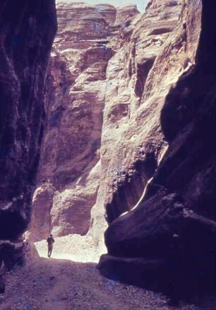 Petra Sik