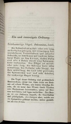 Ein und zwanzigste Ordnung. Pelekanartige Vögel. Pelecanidae, Leach.