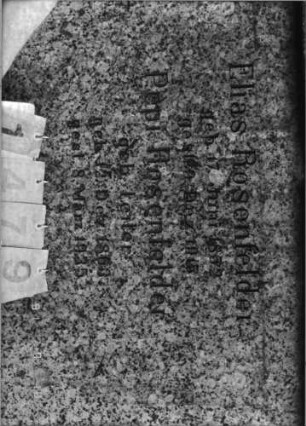Grabstein 1479 [Hahn S. 180 Grab-Nr. 2126/27]: Grabstein 1479 (Detailaufnahme) [Hahn S. 180 Grab-Nr. 2126/27]